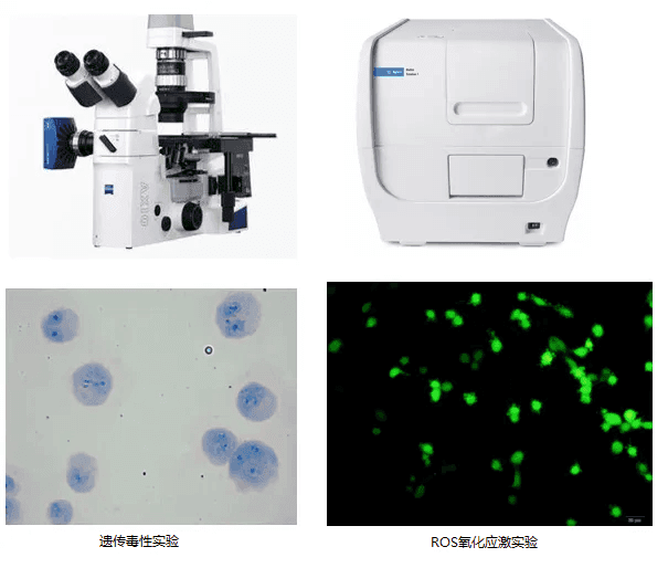 分子生物实验平台